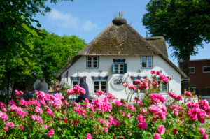 Deutschland, Schleswig-Holstein, Nordfriesische Inseln, Föhr, Nieblum Haus Deutschland, Schleswig-Holstein, Nordfriesische Inseln, Föhr, Nieblum Haus